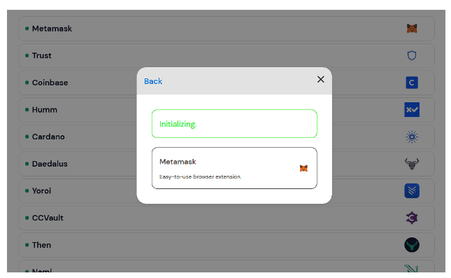   Fake window simulating a connection with a crypto wallet 